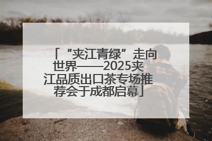 “夹江青绿”走向世界——2025夹江品质出口茶专场推荐会于成都启幕